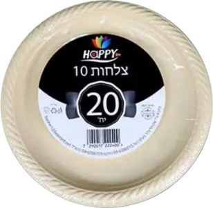 צלחת 10 קשיח