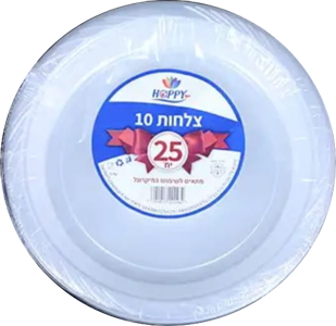 צלחת 10 שקוף